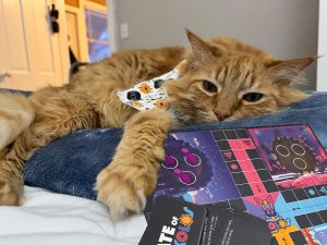 Boardgames boardgame and a ginger cat